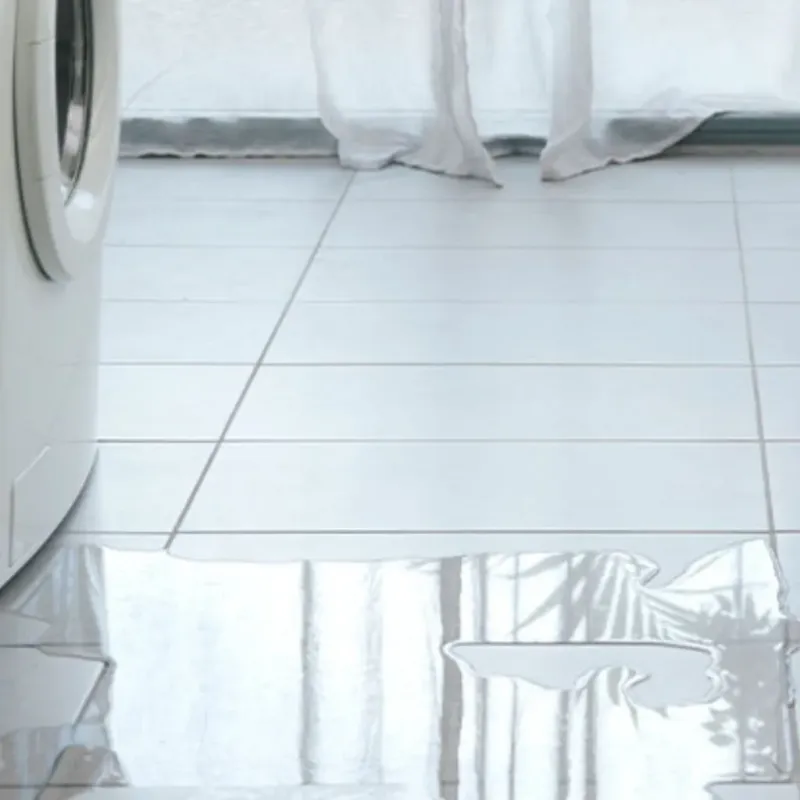 Appliance Leak Cleanup in Washington County, AR