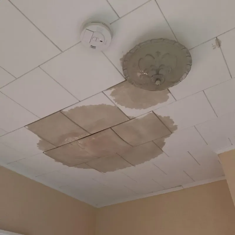 Ceiling Water Damage Repair in Washington County, AR