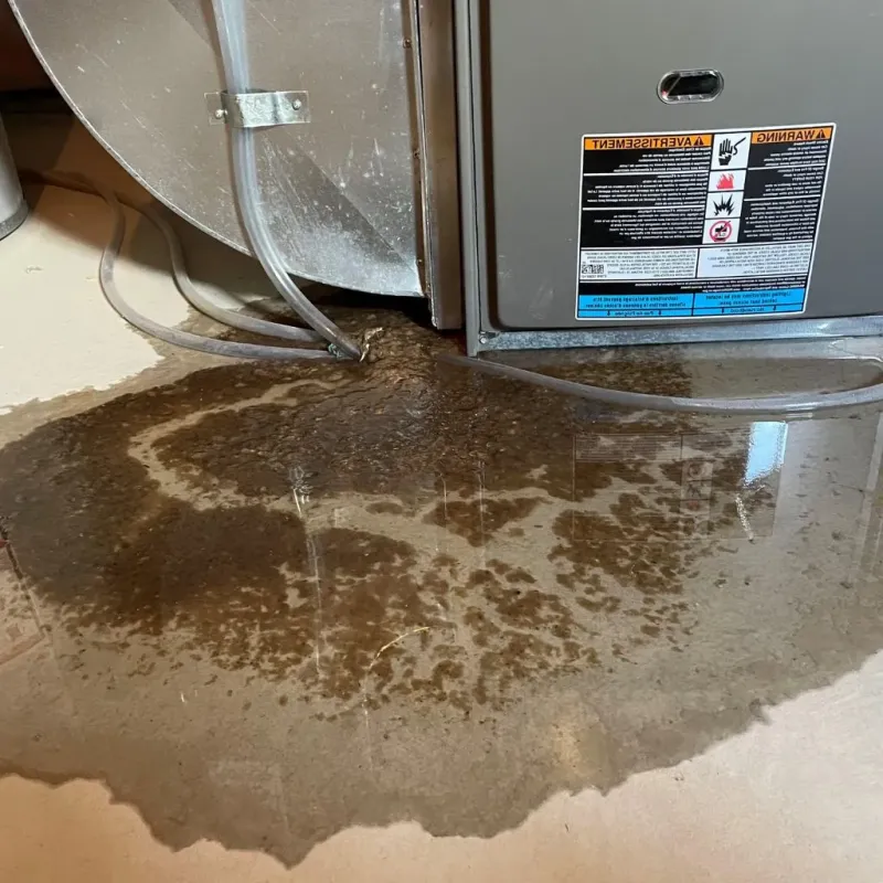Pipe Burst and Leak Restoration in Washington County, AR